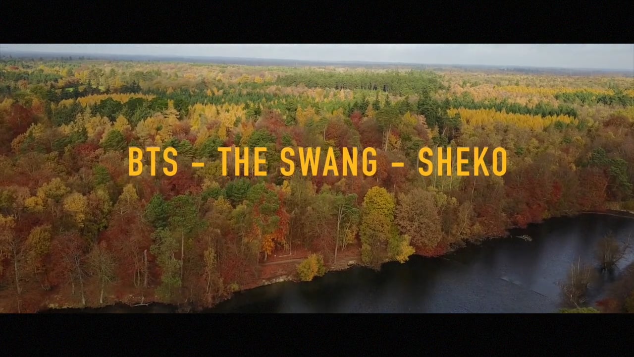 BTS — "The Swan" — Sheku
